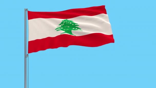 Kain Besar Bendera Isolasi Lebanon Pada Tiang Bendera Berkibar Kibar — Stok Video