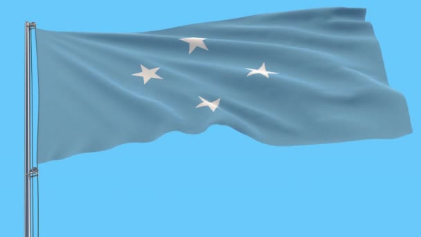 Bandera Grande Aislada Tela Los Estados Federados Micronesia Sobre Asta — Vídeos de Stock