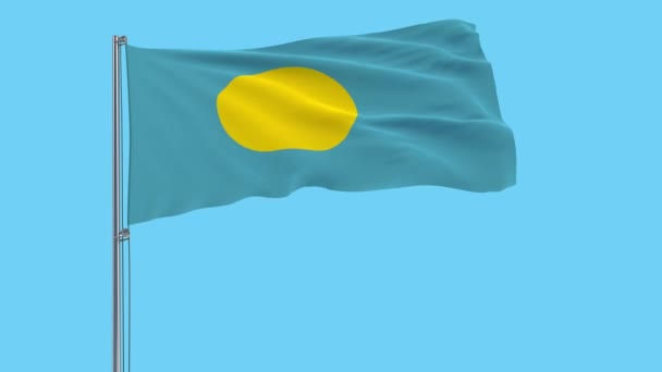 Large Cloth Flag Palau Flagpole Fluttering Wind Transparent Background Rendering — Stock Video