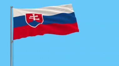 Slovakya bayrağı bir şeffaf arka plan, 3d render, 4 k prores görüntüleri, alfa şeffaflık rüzgarla içinde çırpınan bir bayrak direği üzerinde izole