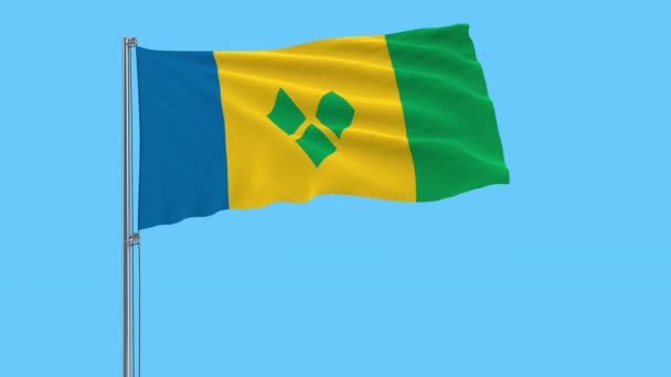 Large Cloth Isolate Flag Saint Vincent Grenadines Flagpole Fluttering Wind — Stock Video