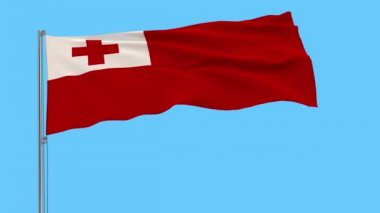 Tonga bayrak rüzgar bir şeffaf arka plan, 3d render, 4 k prores görüntüleri, alfa şeffaflık içinde çırpınan bir bayrak direği üzerinde izole