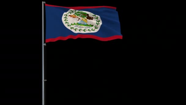 Isoler Grand Drapeau Belize Sur Mât Flottant Dans Vent Sur — Video