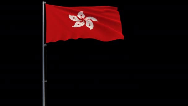 Flagge von Hongkong auf transparentem Hintergrund, 4k prores 4444 Filmmaterial mit Alpha — Stockvideo