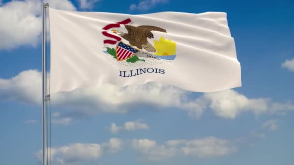 Bandeira do Estado de Illinois no vento contra o céu nublado — Vídeo de Stock