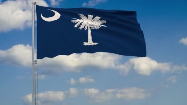 South Carolina State Flagge im Wind gegen bewölkten Himmel — Stockvideo