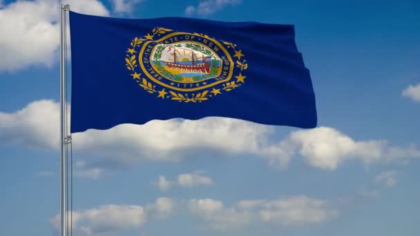 New Hampshire Stats flag i vinden mod overskyet himmel – Stock-video