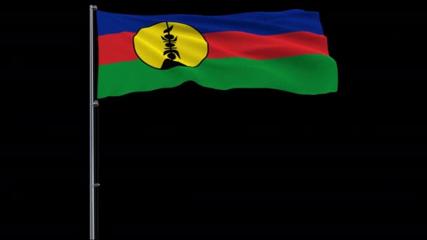 Vlajka Nové Kaledonie na průhledném pozadí, 4k prory 4444 záběr s alfa — Stock video