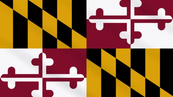 Flagge von Maryland State USA wehen, ideal für Hintergrund — Stockvideo
