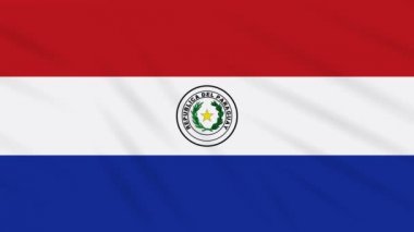 Paraguay bayrağı sallayarak bez, arka plan döngü