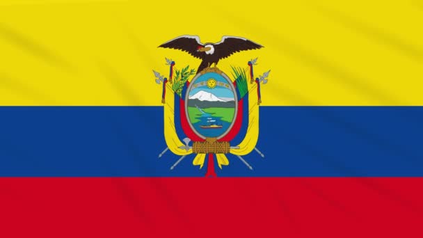 厄瓜多尔国旗挥舞布，背景环 — 图库视频影像