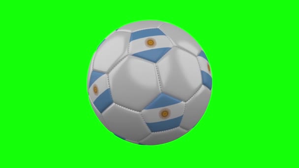 Soccer ball with Argentina flag on green chroma key background, loop — Stock Video