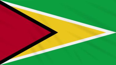 Guyana bayrak sallayarak bez, arka plan döngü