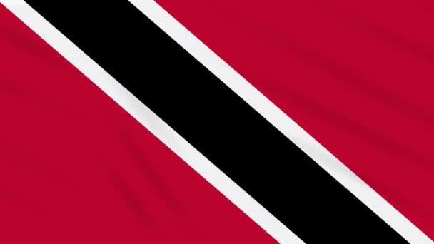 Bandera de Trinidad y Tobago ondeando, bucle de fondo — Vídeos de Stock