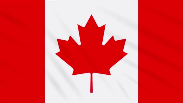 Kanada bayrağı sallayarak bez, arka plan döngüsü — Stok video