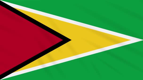 Bandera de Guyana ondeando tela, bucle de fondo — Vídeo de stock