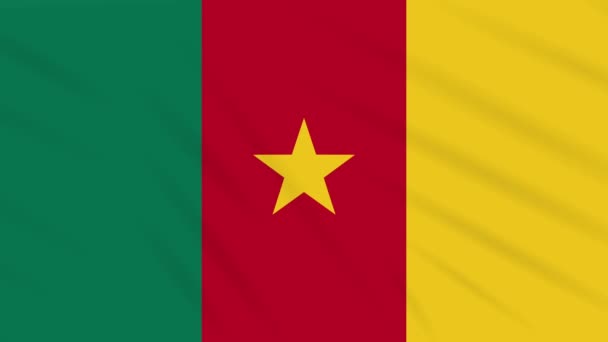 Kamerun bayrağı sallayarak bez, arka plan döngüsü — Stok video