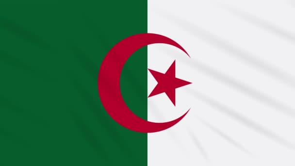 Argelia bandera ondeando tela, bucle de fondo — Vídeo de stock