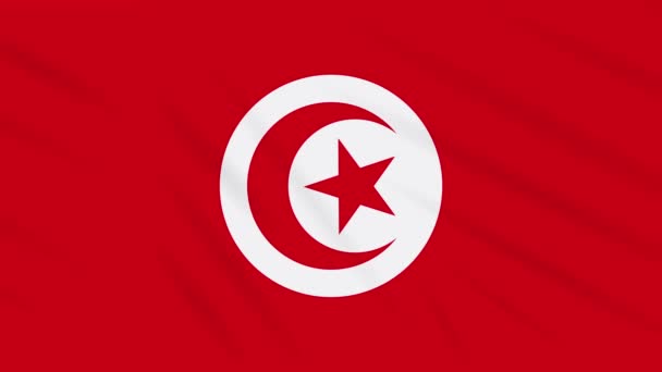 Тунисский флаг размахивает тканью, петля на заднем плане — стоковое видео