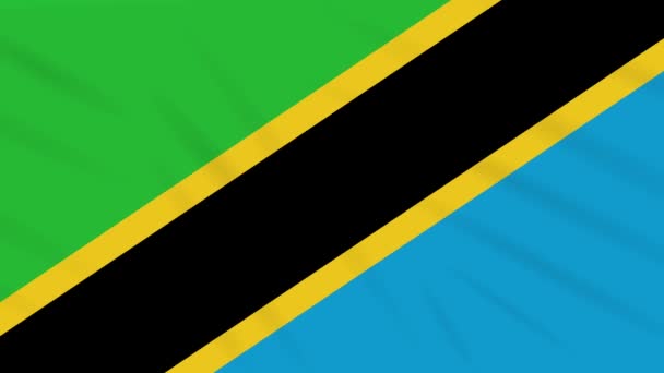 Bandera de Tanzania ondeando tela, bucle de fondo — Vídeo de stock