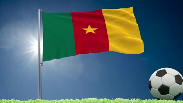 Kamerun praporek a fotbalové rolky
