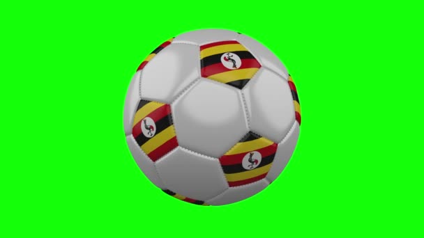 Ballon de football avec drapeau ougandais sur fond chromé vert, boucle — Video