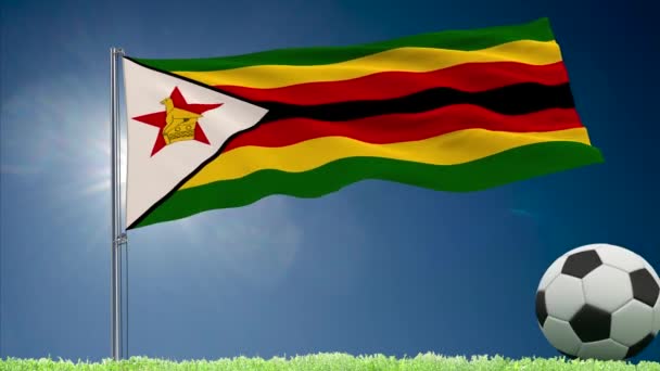 Bandeira do Zimbabué tremulando e rolos de futebol — Vídeo de Stock