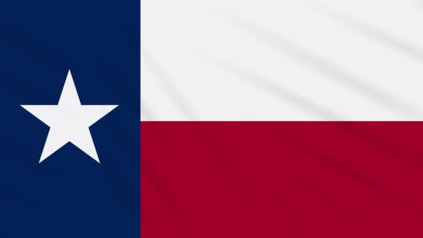Texas flag flutters in the wind, loop for background — Stock Video