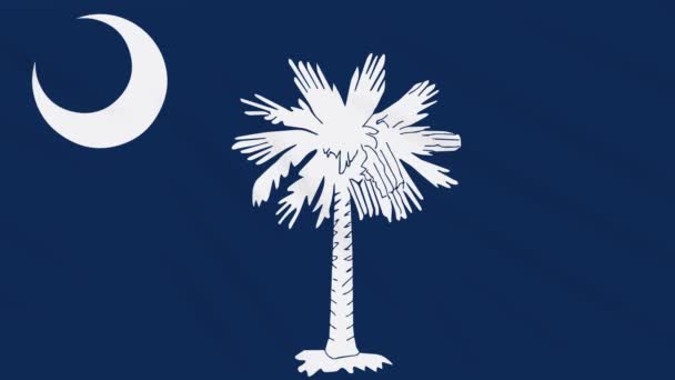 Dél-Karolina zászló csapkod a szél, a hurok a háttérben — Stock videók