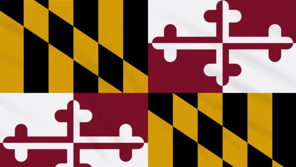 Maryland Vlag Flutters Wind Lus Voor Achtergrond — Stockvideo