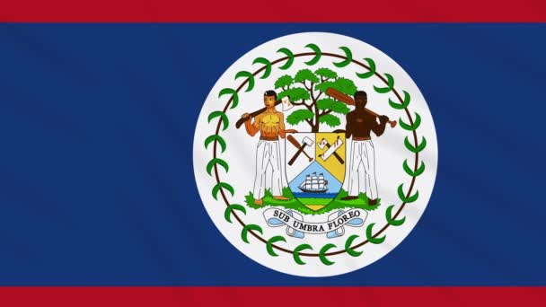 Drapeau Belize agitant fond tissu, boucle — Video