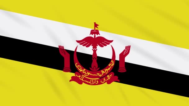 Brunei flagga viftande trasa bakgrund, loop — Stockvideo