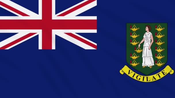 Bandeira das Ilhas Virgens Britânicas acenando pano, loop — Vídeo de Stock