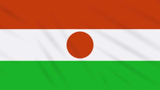 Bandera de Níger ondeando fondo de tela, bucle — Vídeos de Stock