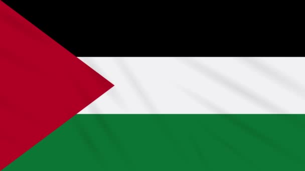 Bandeira da Palestina acenando pano fundo, loop — Vídeo de Stock
