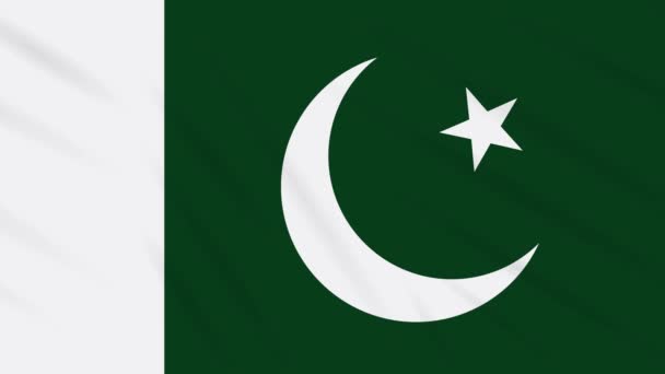Pakistan Flagge weht Tuch Hintergrund, Schlaufe — Stockvideo