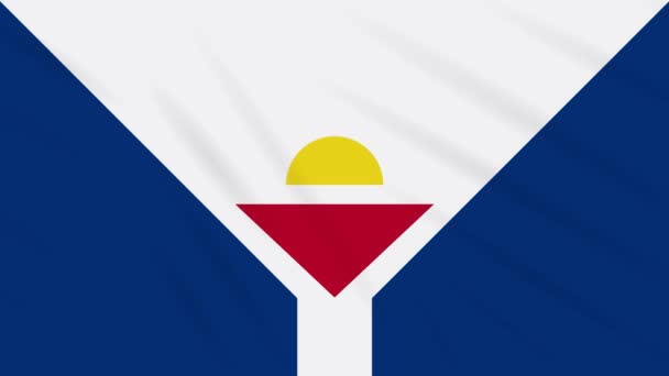 Bandera de San Martín ondeando fondo de tela, bucle — Vídeo de stock
