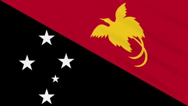 Papua New Guinea Flagge schwenken Tuch Hintergrund Schlaufe — Stockvideo