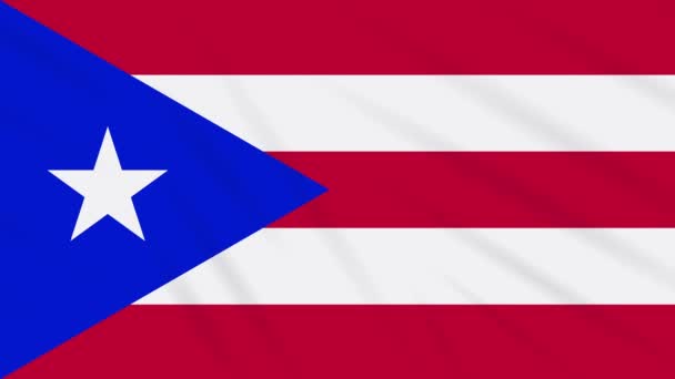 Portoriko vlajka mávající tkaninou, smyčka — Stock video