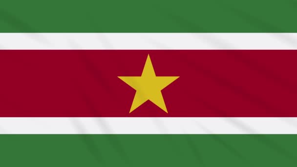 Drapeau Suriname agitant tissu, boucle de fond — Video