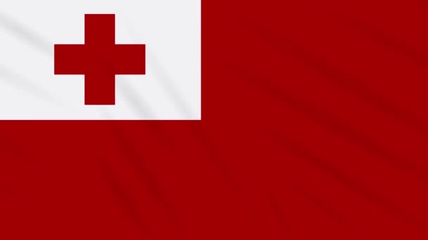 Tonga flag waving cloth, background loop — Stock Video