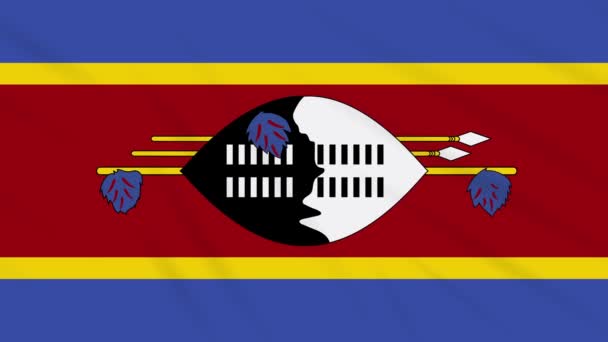 Kungarike av eswatini-Swaziland, bakgrund kretsar — Stockvideo