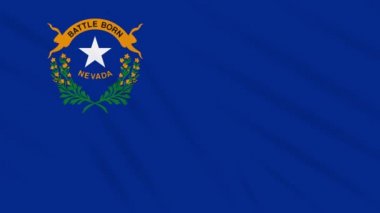 Nevada bayrağı rüzgarda çırpınıyor, arka plan için döngü