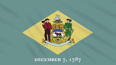 Delaware bayrak rüzgarda çırpınıyor, arka plan için döngü