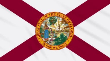Florida bayrağı rüzgarda çırpınıyor, arka plan için döngü