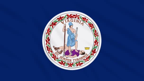 Η σημαία της Βιρτζίνια φτερουγίζει στον άνεμο, βρόχος για φόντο — Αρχείο Βίντεο