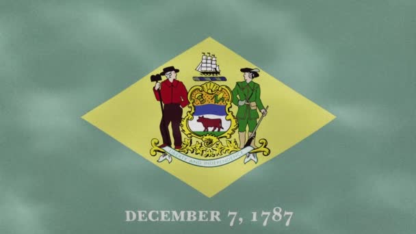 Delaware onduleurs de tissu drapeau dense, boucle de fond — Video