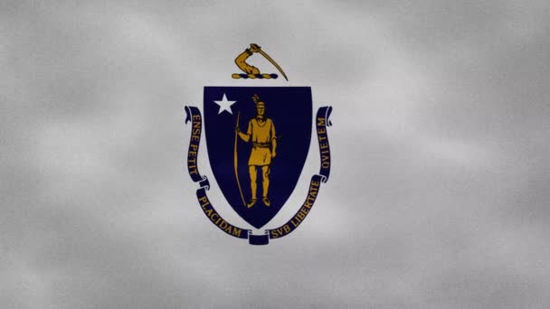 Колебания тканей флага Массачусетса, задняя петля — стоковое видео