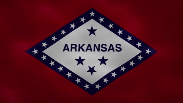 Arkansas dense flag fabric wavers, background loop — Stock Video