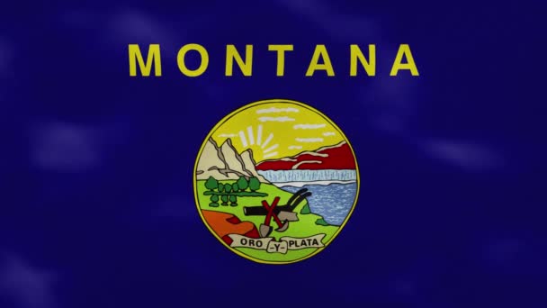 Montana dense flag fabric wavers, background loop — Stock Video